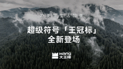 如何圈粉z世代？大王椰品牌焕新 2.0交出新答卷